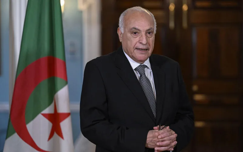 UK Backs Morocco's Western Sahara Plan, Sparking Algerian Criticism