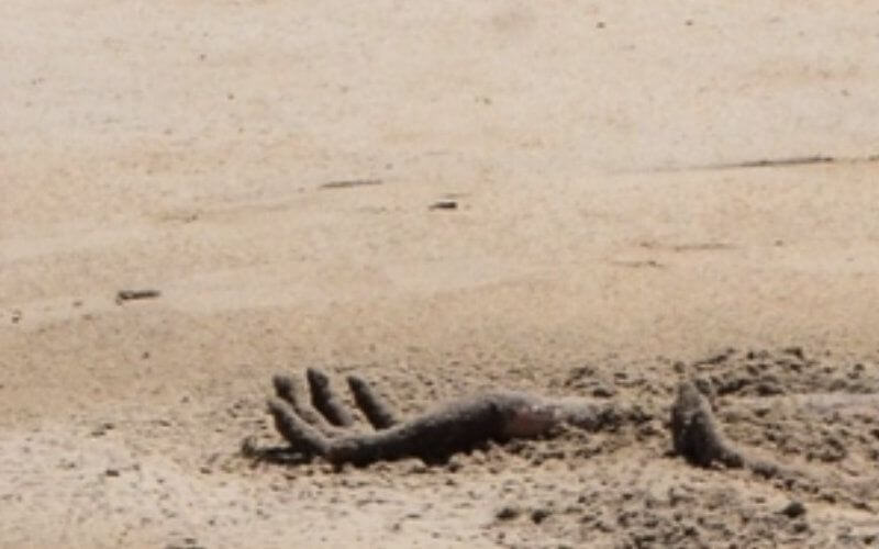 British Tourist Found Dead on Moroccan Beach in Agadir