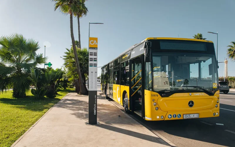 Casablanca Bus Scandal Exposes Systemic Violence and Oversight Failures