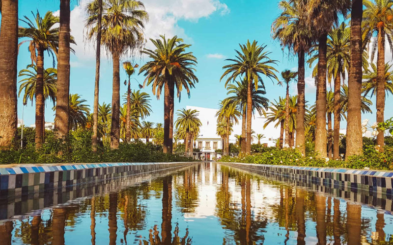 Casablanca to Launch Tourist Bus Service in Bid to Boost Tourism