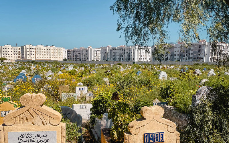 Casablanca's $4 Million Cemetery Upgrade Sparks Controversy