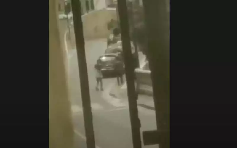Ceuta Residents Jailed for Shooting Moroccan Teen During Migration Crisis