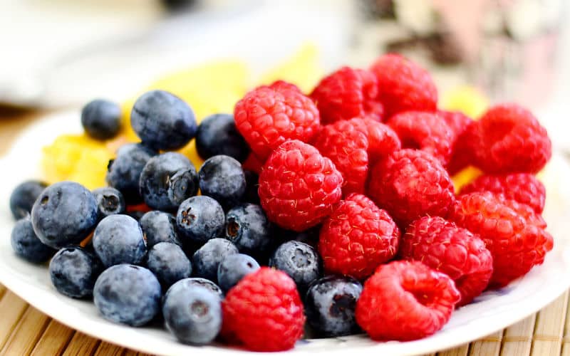 Chilean Berry Giant Agroberries Expands to Morocco with €40 Million Investment