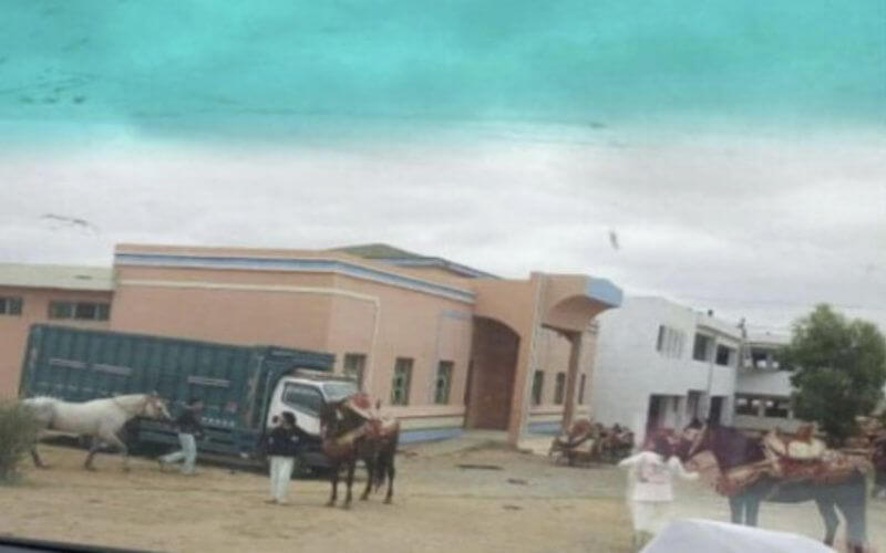 Controversy Erupts as Moroccan School Converted to Horse Stable for Festival