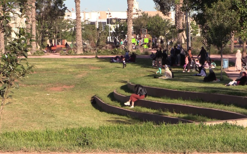 Environmentalists Fight to Save Historic Mohammedia Park from Parking Lot Development