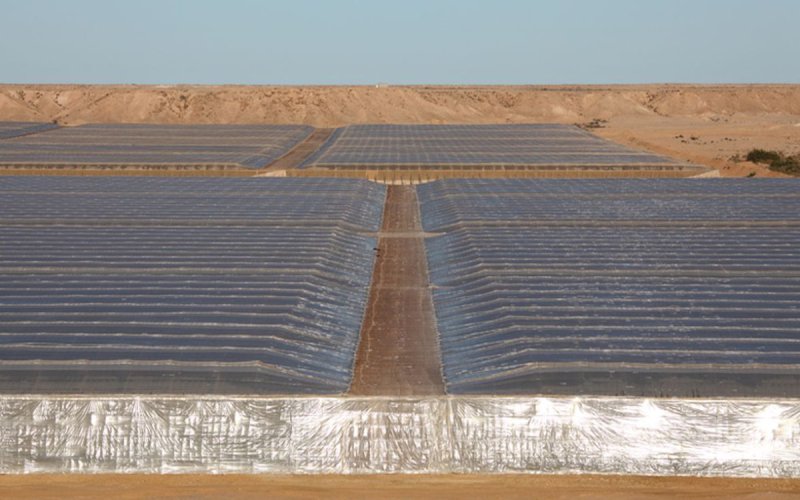 EU-Morocco Trade Deal Expands to Sahara, Sparks Economic Shift