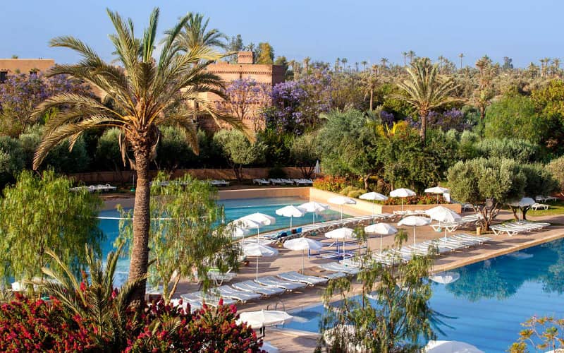 Family's Morocco Trip Canceled Due to Passport Delay, Man Plans Legal Action Against French Government