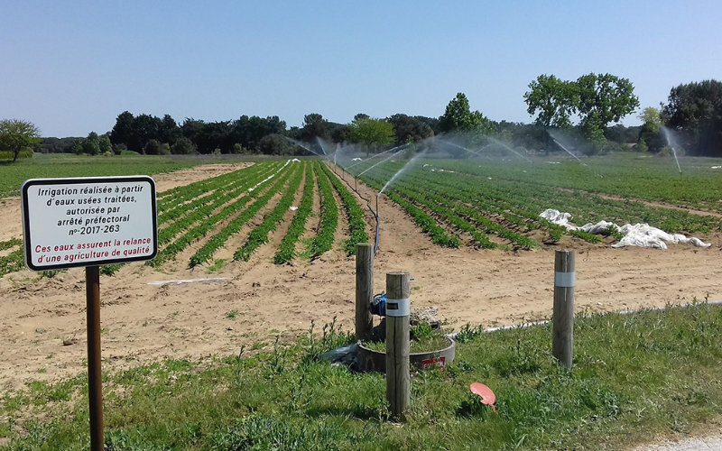 France Revolutionizes Agriculture: Massive Wastewater Recycling Project to Save Drought-Stricken Farms