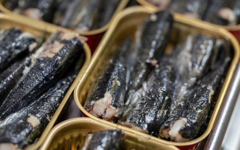 French Sardine Crisis: Morocco's Overfishing and Climate Change Spark Shortage