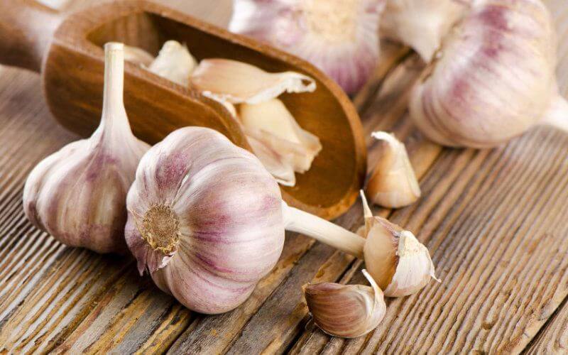 Garlic Prices Soar in Morocco as Coronavirus Disrupts Global Supply
