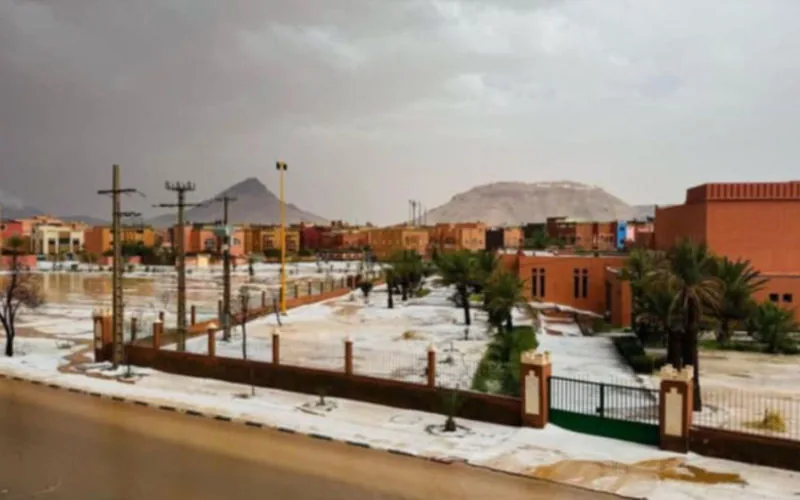 Hail and Thundersnow Devastate Moroccan Watermelon Crops, Farmers Face Crisis