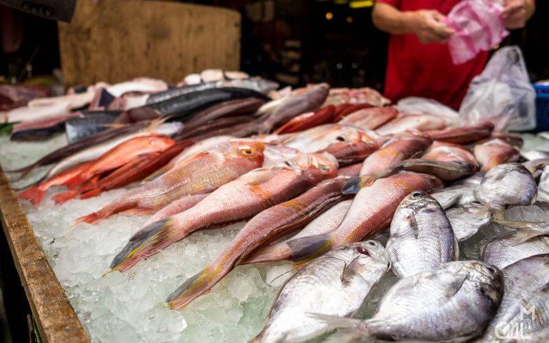 Health Alert: Raw Fish Consumption in Morocco Linked to Parasites and Illness