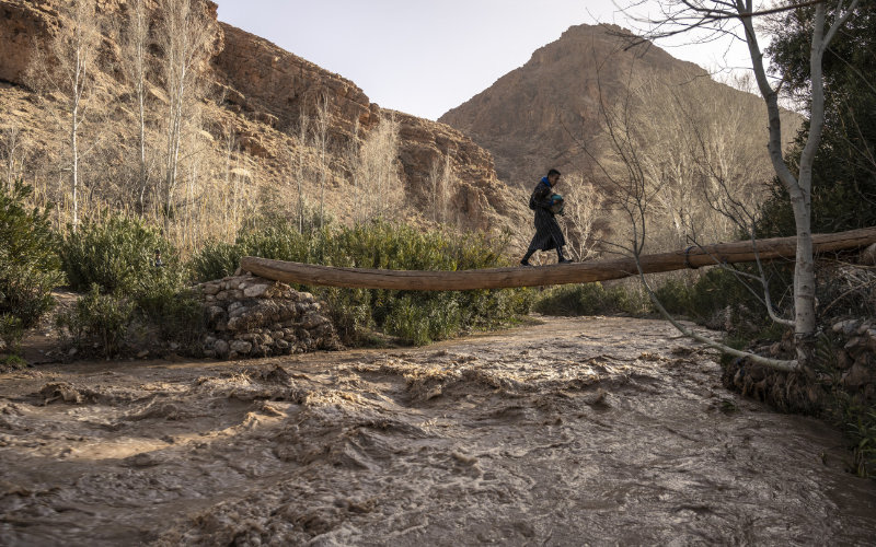 Innovative "Fog Harvesting" Project Tackles Water Scarcity in Rural Morocco