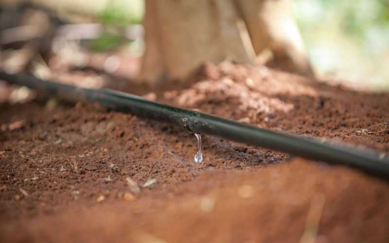 Israeli Irrigation Giant Netafim Opens First North African Factory in Morocco