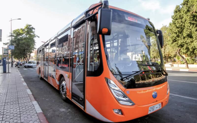 Marrakech Launches Bid Process for New Public Bus Operator