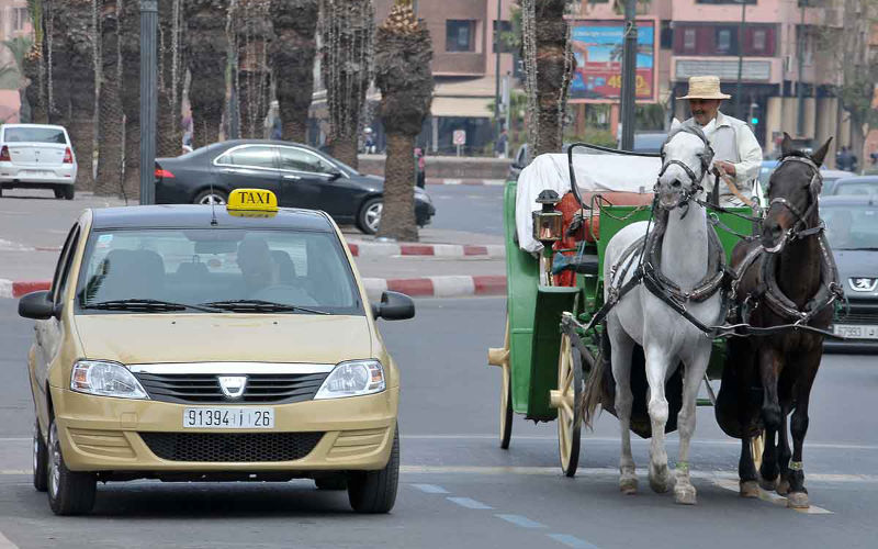 Marrakech Taxi Fares Surge, Sparking Outrage and Calls for Intervention
