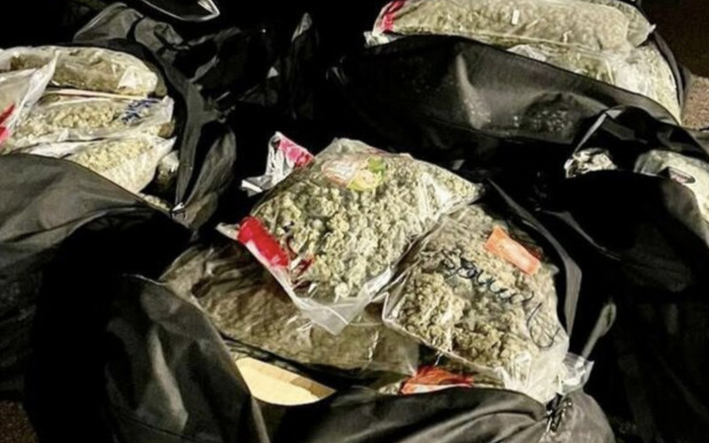 Massive Cannabis Bust: 720 kg Seized in High-Speed Chase Near Montauban