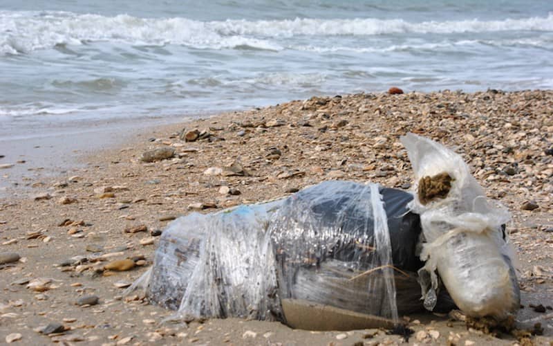 Massive Cannabis Haul Washes Ashore on Moroccan Beach, 3 Arrested