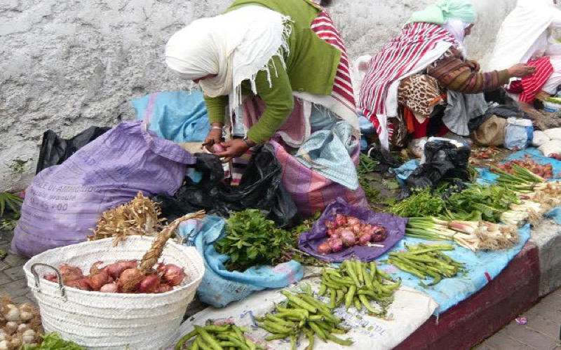 Microcredit Agency Head Faces Sexual Harassment and Assault Charges in Morocco