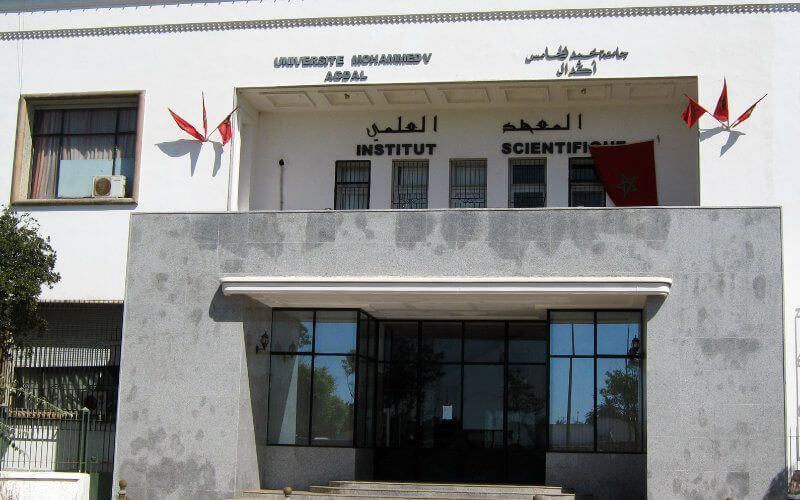 Mohammed V University of Rabat Tops Moroccan Universities in Global Ranking