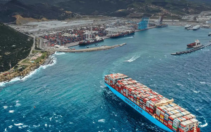 Moroccan Activists Protest Alleged Weapons Shipment to Israel via Tanger Med Port