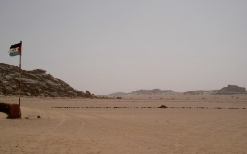 Moroccan Army May Secure Buffer Zone as Polisario Attacks Escalate in Western Sahara