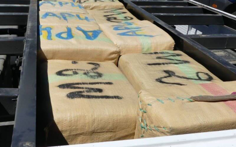 Moroccan Customs Seize Nearly 12 Tons of Hashish in Record Drug Bust