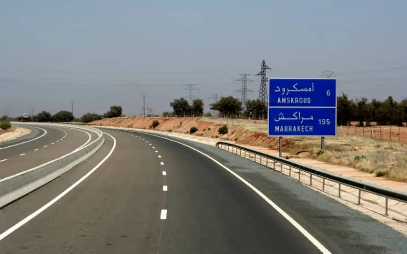 Moroccan Highway Authority Faces Legal Backlash Over Stray Animal Accidents