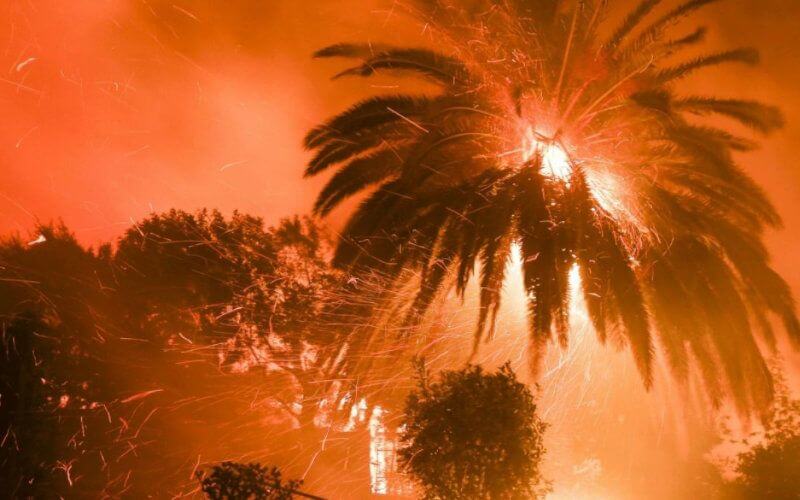Moroccan Oasis Fire Destroys Over 4,000 Trees Amid Heatwave in Errachidia Region