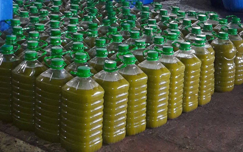 Moroccan Police Uncover Major Olive Oil Adulteration Scheme in Taounate