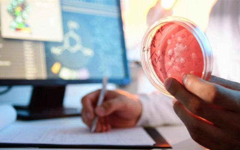 Moroccan-Spanish Team Patents Potential Prostate Cancer Treatment from Citrus Peels