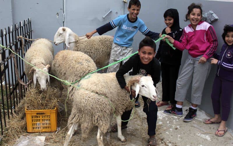 Moroccan Student in France Misses Family Eid Celebration Due to COVID-19 Travel Restrictions