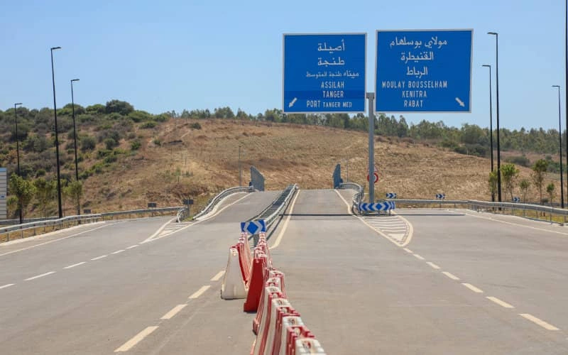Moroccan Sues Highway Company After Stray Dog Crash Trauma