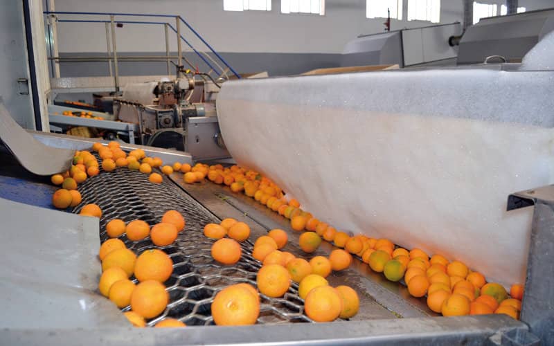 Morocco Boosts Agri-Food Sector with New Import Substitution Strategy