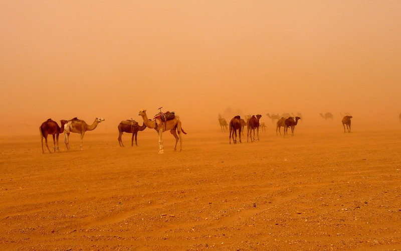 Morocco Braces for Intense Heatwave as Temperatures Set to Soar Above 45°C