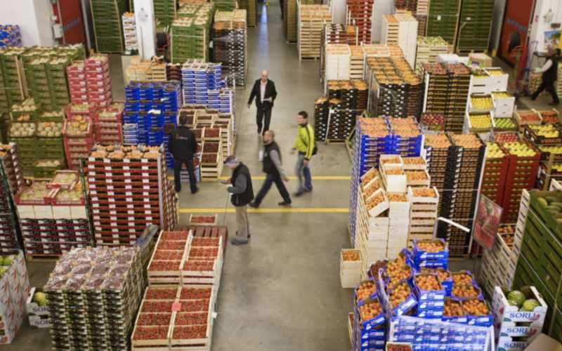 Morocco Cracks Down on Food Speculators to Combat Rising Prices