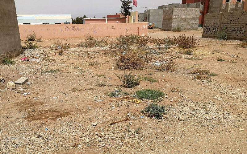 Morocco Cracks Down on Unpaid Urban Land Taxes, Minister Orders Action