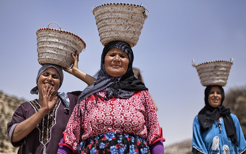 Morocco Debates Alimony Reform: Women's Groups Protest Proposal for Higher-Earning Wives to Pay Ex-Husbands