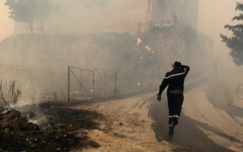 Morocco Expresses Condolences as Deadly Forest Fires Ravage Northern Algeria