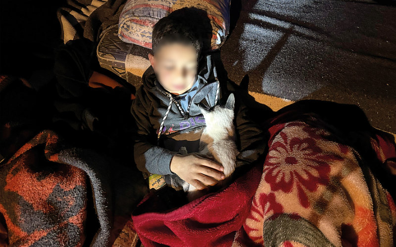 Morocco to Grant "Ward of Nation" Status to Earthquake Orphans