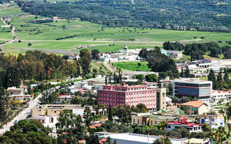 Morocco Loses €12M German Investment as Political Roadblocks Derail 300-Job Factory Project