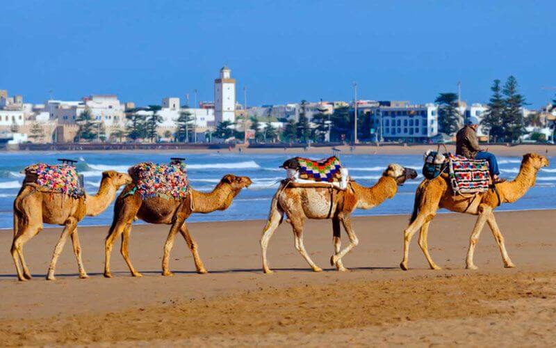 Morocco Pays October Tourism Sector Allowance Amid COVID-19 Recovery Efforts