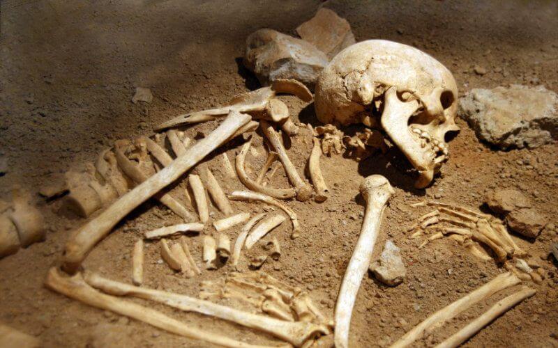 Morocco Receives Ancient Human Remains from French University for Archaeological Research