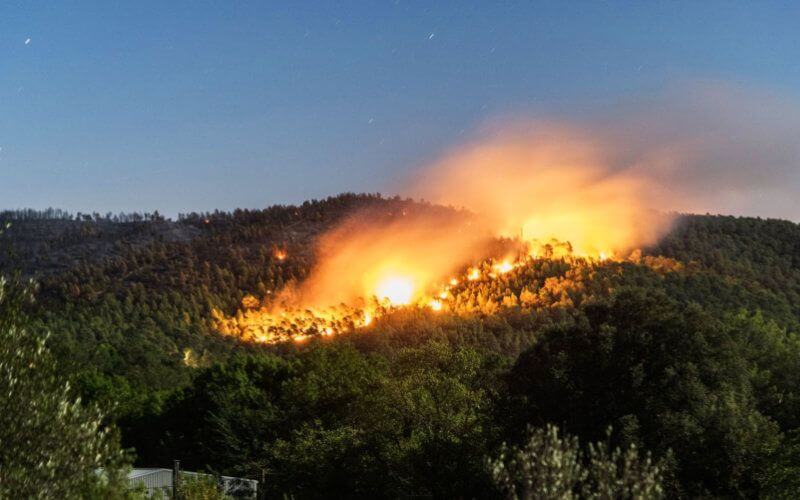 Morocco Reports 60% Drop in Forest Fires, 201 Hectares Affected in 2019