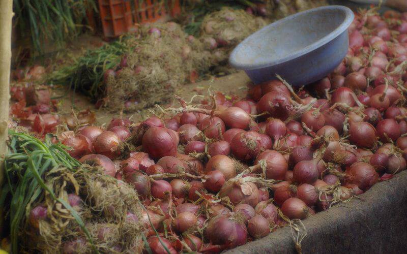 Morocco Resumes Onion and Potato Exports to West Africa After COVID-19 Pause