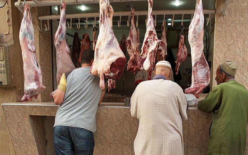 Morocco Vaccinates Over 1 Million Cattle Against Foot-and-Mouth Disease in National Campaign