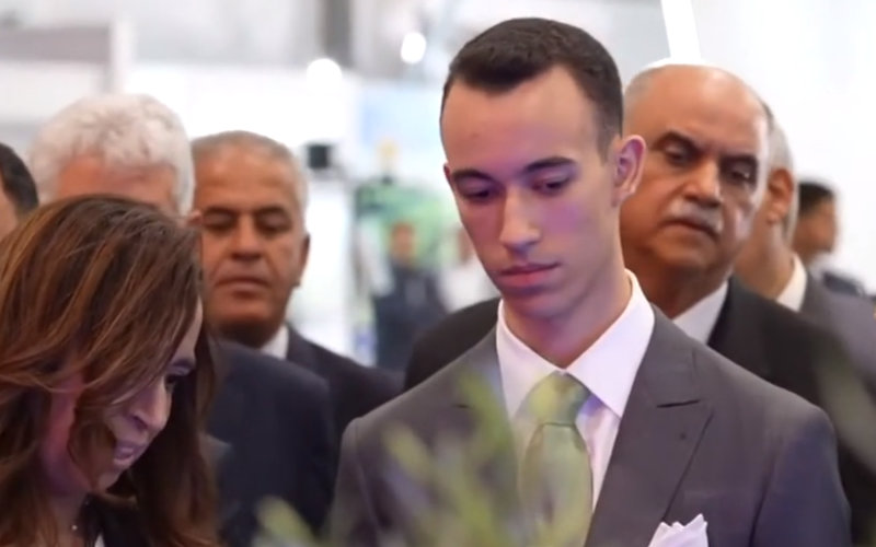 Morocco's Crown Prince Moulay Hassan Gains Massive Social Media Following