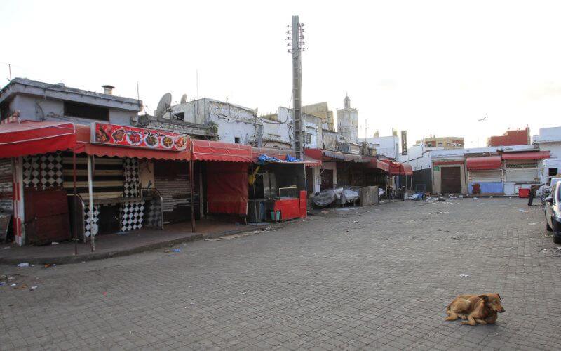 Morocco's Economy Reels as 57% of Businesses Halt Operations Amid COVID-19 Crisis