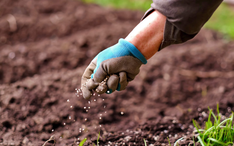Morocco's OCP Group to Supply 40,000 Tons of Fertilizer to Bangladesh
