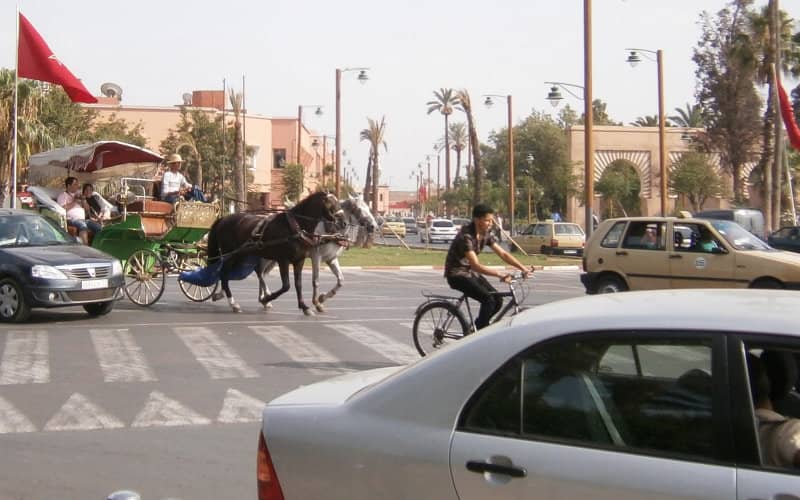 Morocco's Vehicle Tax Revenue Jumps 8% to 3.7 Billion Dirhams in 2021